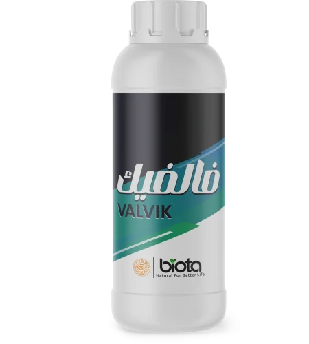 valvvik